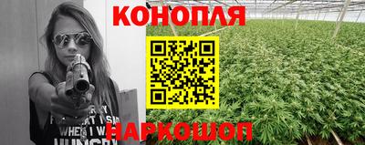 крисы Будённовск