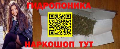 МДПВ Пушкино