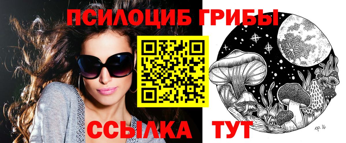 Псилоцибиновые грибы MAGIC MUSHROOMS  Вход с VPN  Псилоцибиновые грибы MAGIC MUSHROOMS  Заречный 